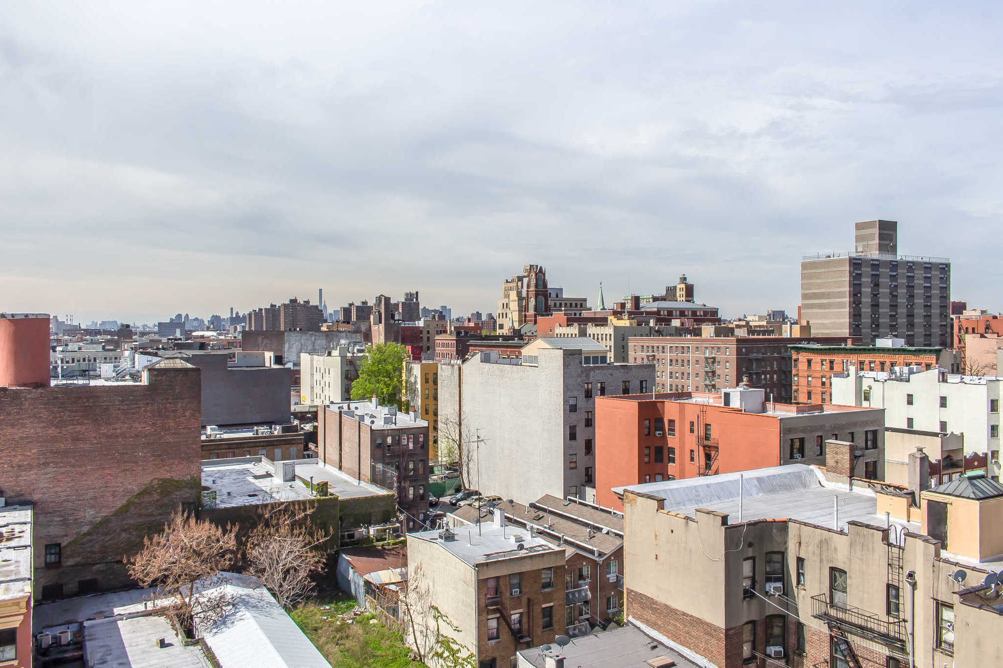 ניו יורק Umbrella Hotel Bronx מראה חיצוני תמונה